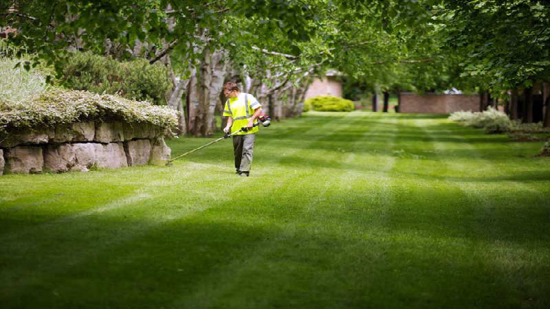 Finding The Right Lawn Mowing Service