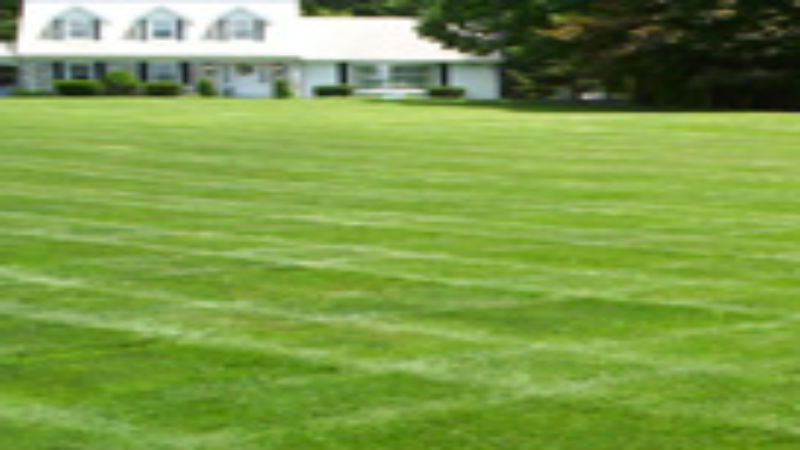What is Involved in Lawn Care?