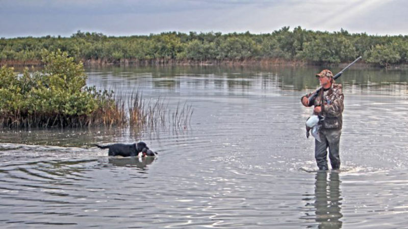 Five Reasons to go Duck Hunting in Texas with an Experienced Guide