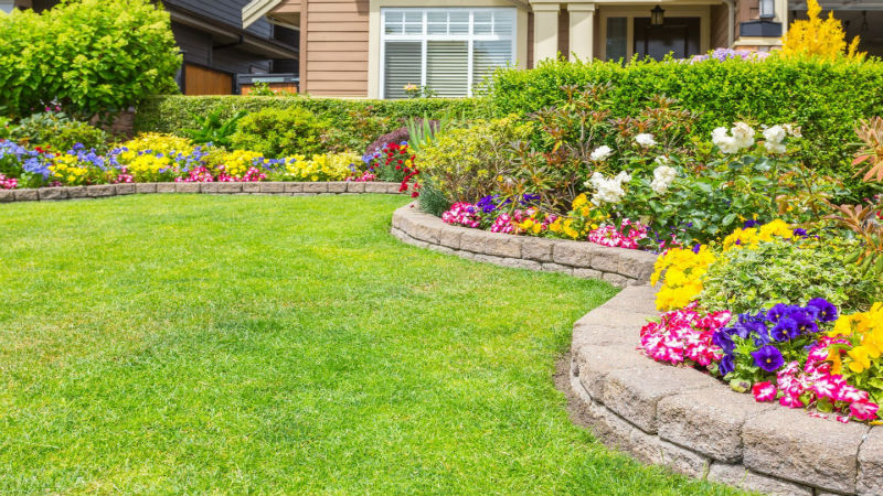 The Organic Way to Care for a Lawn