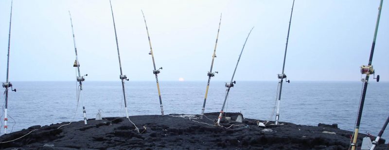 Marine Supply in Honolulu – What You Need to Buy