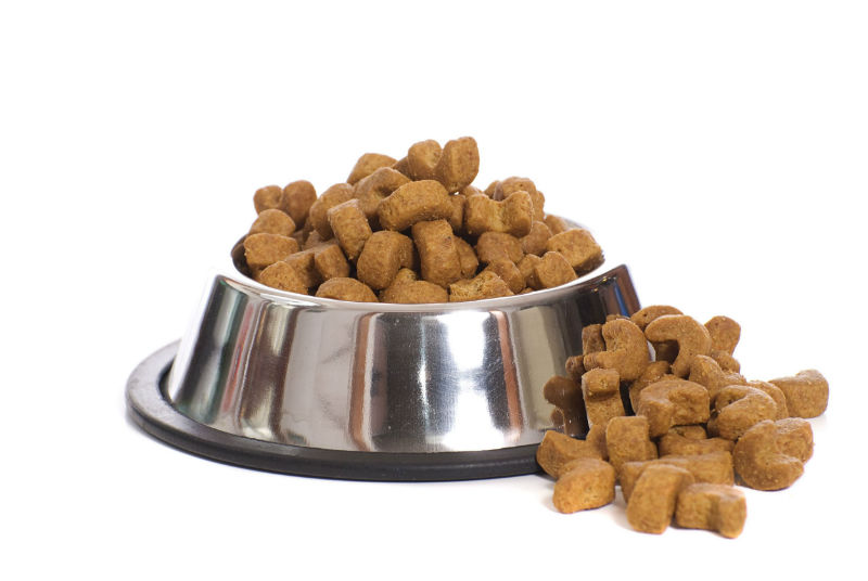 Give Your Dog the Benefit of Food That is Healthy and Natural