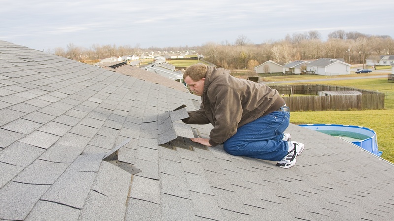 Roofscapes Redefined: Aesthetic Roof Painting in Riverside.