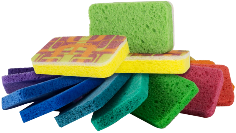 For the Environmentally Conscious, Plant-Based Sponges Are Perfect