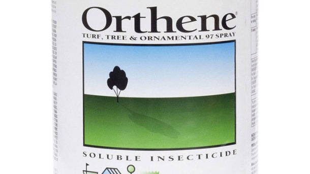 When to Apply Tempo SC Ultra Pest Control Concentrate