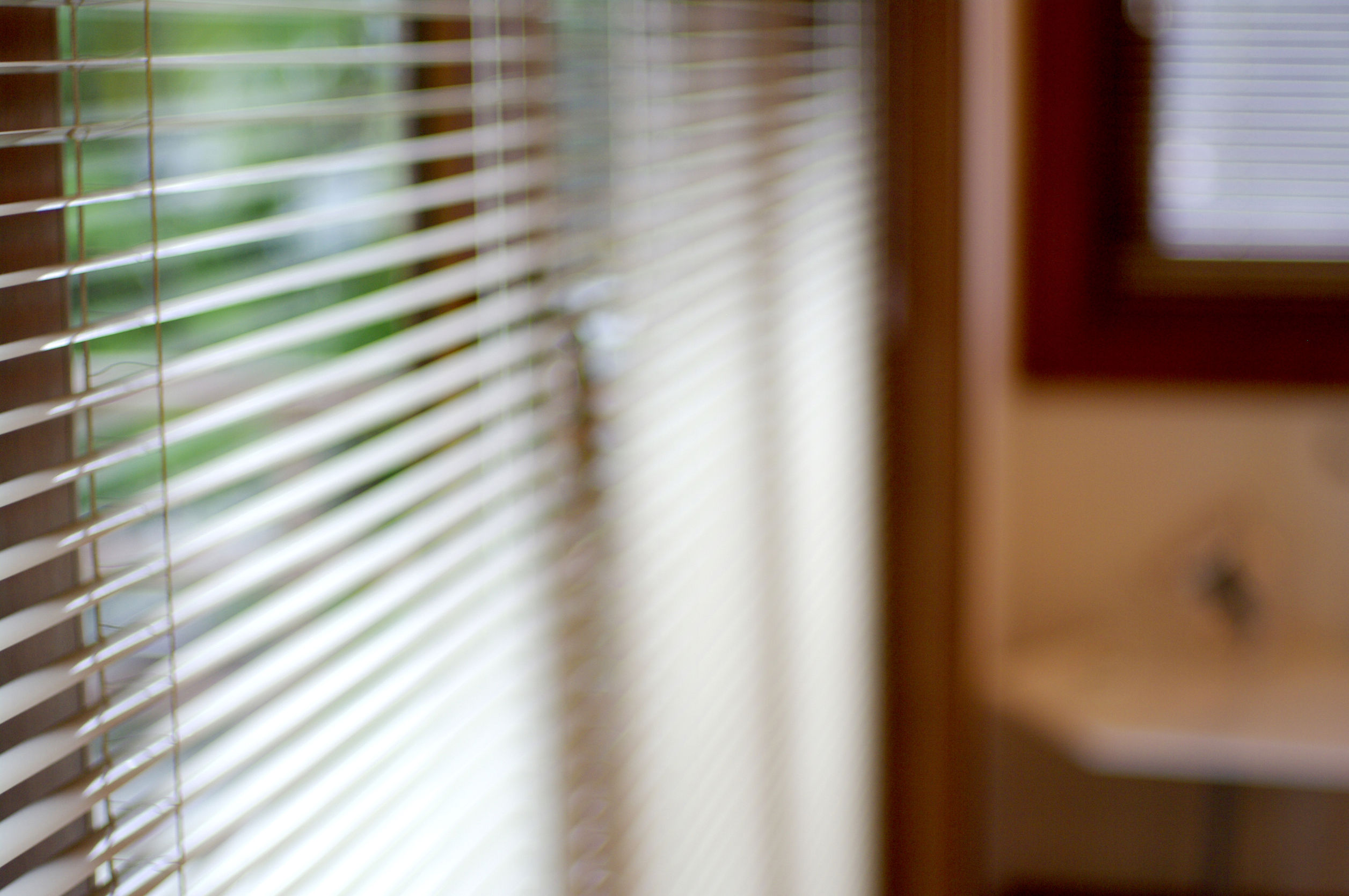 Reasons to Use Professionals for Window Blinds Installation in Brandon, FL