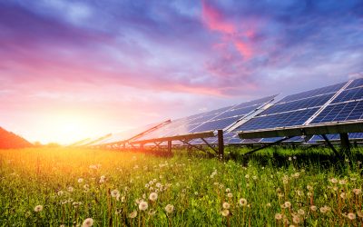 Choosing the Right Solar Panel Cleaning Company in Deltona, FL