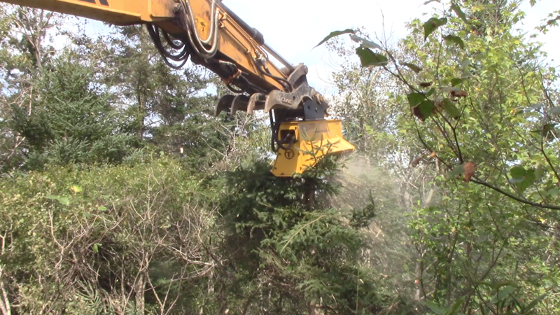 Finding a Great Brush Cutter for an Excavator Can Be Less Complicated Than You Think