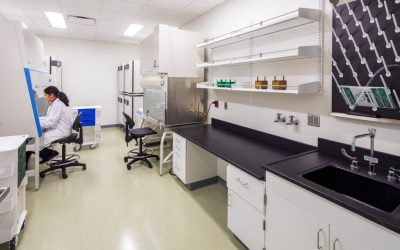 Understanding the Significance of Laboratory Biosafety Cabinets