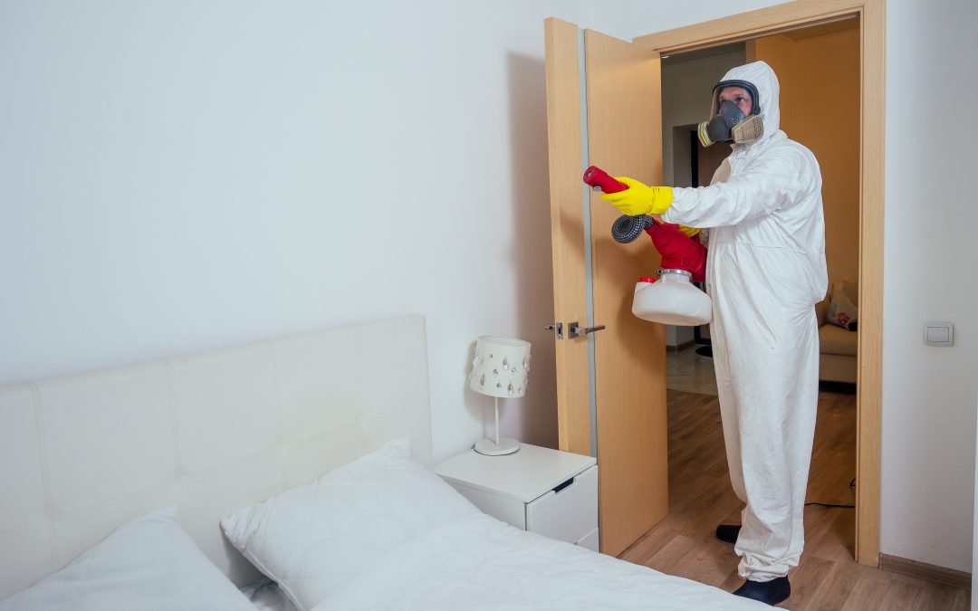 Pest Removal Temecula CA – Dealing With Pests Around Your Home