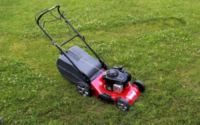 Reliable Weed Lawn Care Services in Clarksville, IN, for a Healthy Lawn