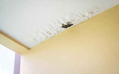 Restoring comfort with fire damage cleanup services in Little Rock, AR