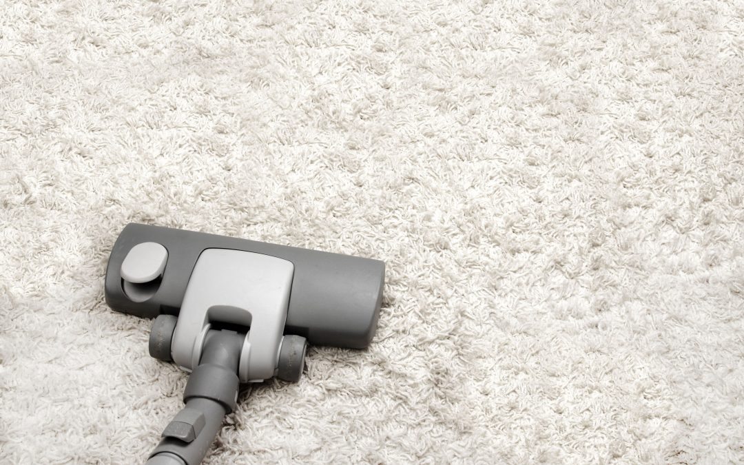 Transform your home with expert carpet cleaners in North Little Rock, AR