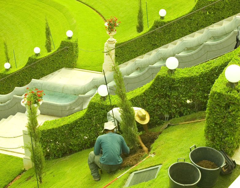 Revitalize Your Outdoor Space With The Best Landscape Plant Nursery in Raleigh, NC