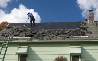 Expert Tips From a Roofing Company in Hilton Head Island, SC, on Protecting Your Roof