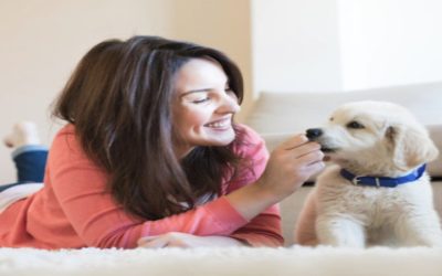 Dog Daycare in Denver: Enhancing Your Pet’s Happiness And Well-Being