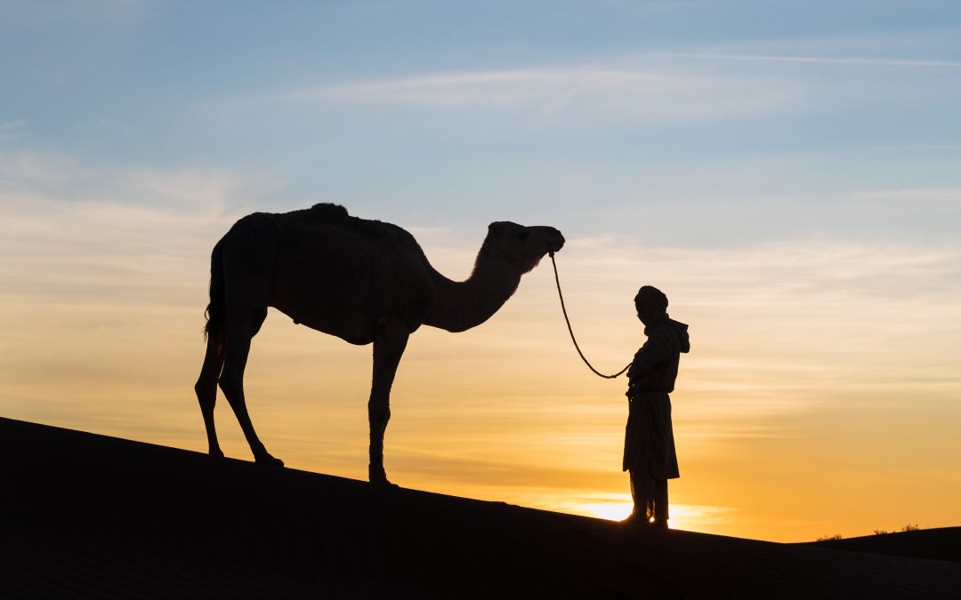 An Enchanting Journey Through Morocco’s Beauty: 4-Day Tour From Marrakech To Merzouga