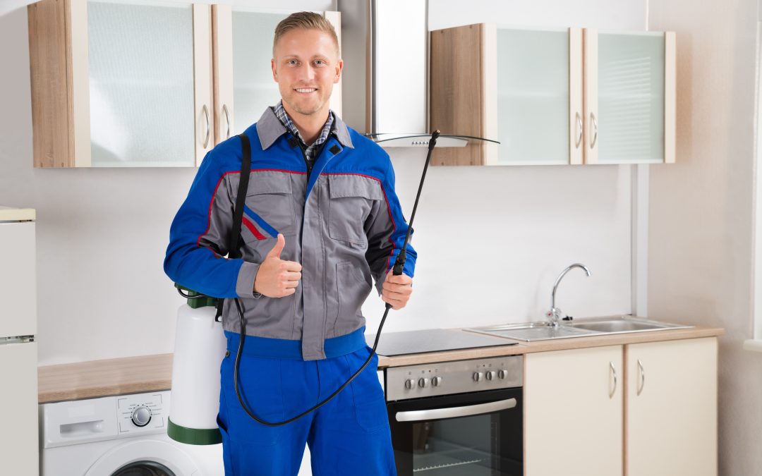 Effective Residential Pest Control Riverside CA: Solutions for Homeowners