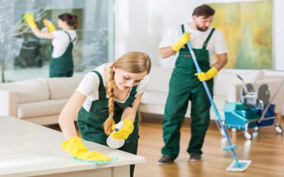 Housekeepers in Redondo Beach, CA: Transform Your Home with Local Expertise