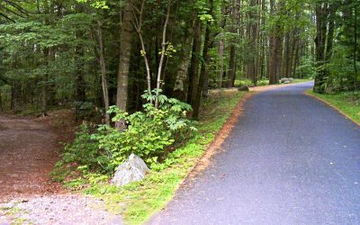 Protect Your Driveway with Residential Asphalt Sealcoating Services Syracuse NY Homeowners Trust