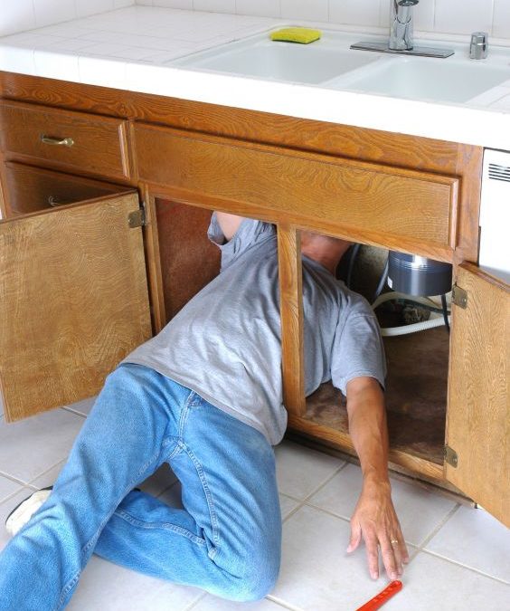Keep Your Business Flowing Smoothly with Commercial Drain Cleaning Grand Ledge Michigan Solutions