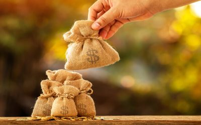 Achieve Your Agricultural Goals With Reliable AG Loans Paris IL Options