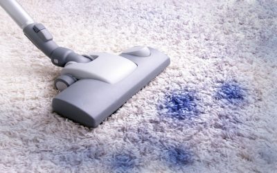 Enjoy Spotless Living Areas as Carpet Cleaners Near Beloit, WI Bring New Life to Your Carpets