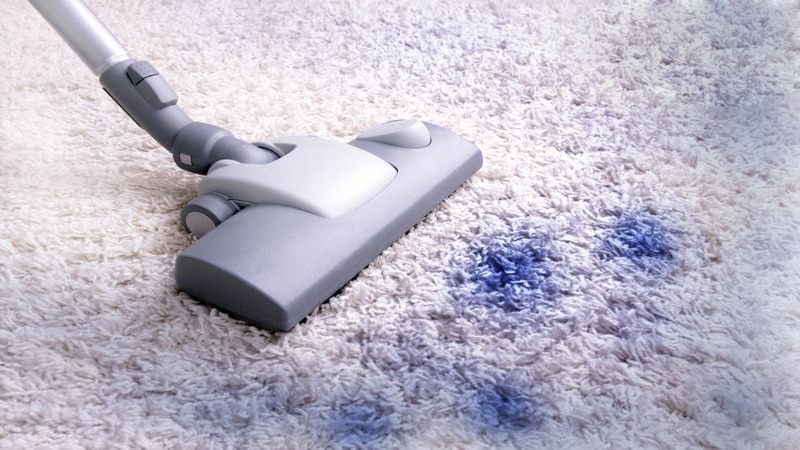 Enjoy Spotless Living Areas as Carpet Cleaners Near Beloit, WI Bring New Life to Your Carpets