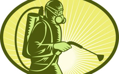 Mosquito Treatment in Peachtree City, GA Reliable Solutions for Safe Outdoor Living