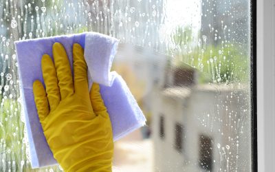 Unlock More Free Time by Choosing a Maid Service in Cedar Park, TX for Your Routine