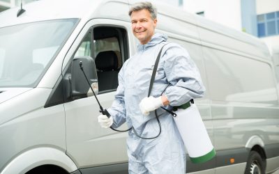 How Rodent Control Roseville, CA Services Keep Your Family Safe And Pest Free