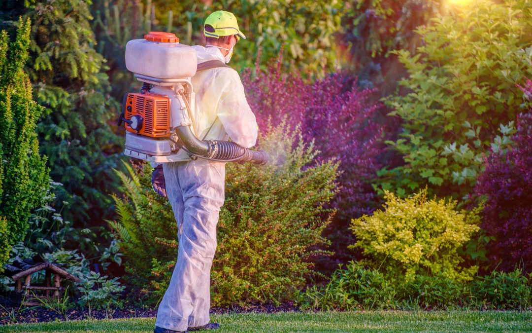 Essential tips for lawn care maintenance in Gainesville, VA, to keep your yard looking vibrant