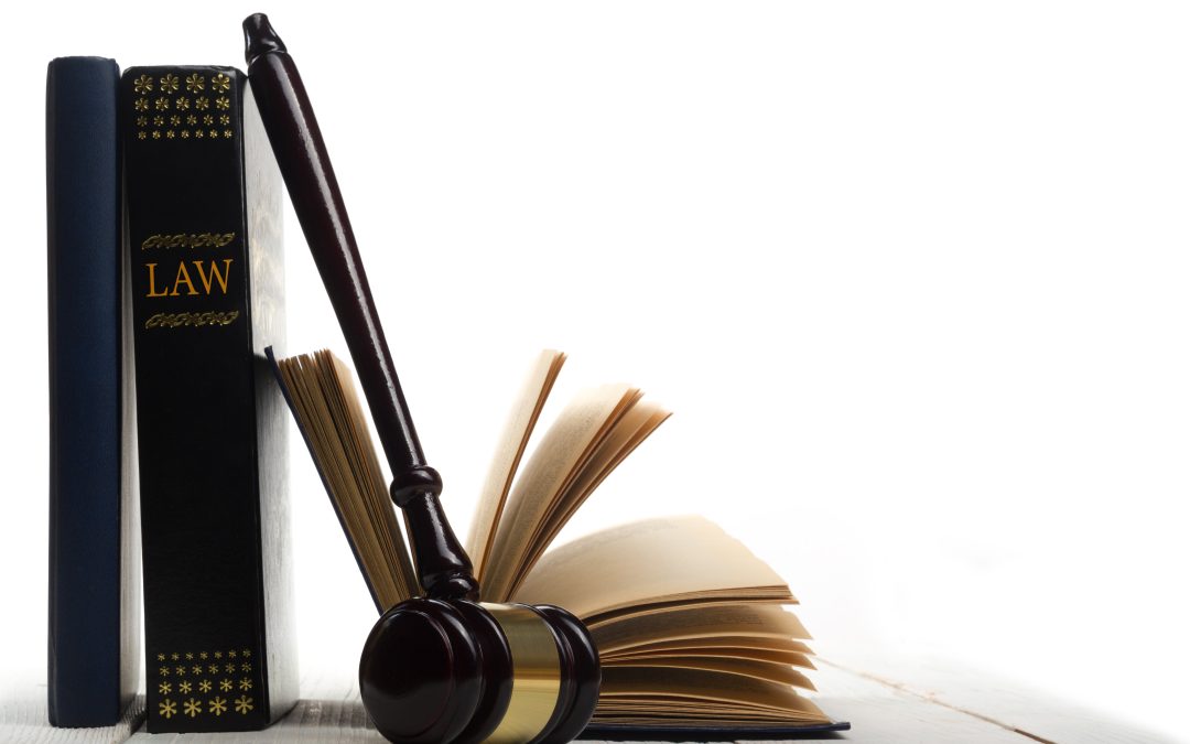 Secure Your Family’s Future with a Will Lawyer Minneapolis Residents Trust for Peace of Mind