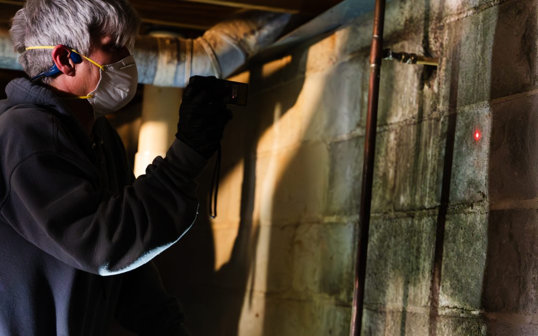 Protect Your Home and Health with Mold Inspection Companies, Newnan, GA Homeowners Trust