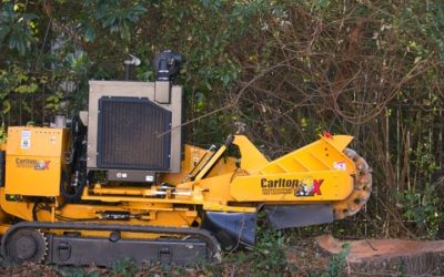 Enhance curb appeal with professional stump grinding in Senoia, GA, and solutions for your lawn