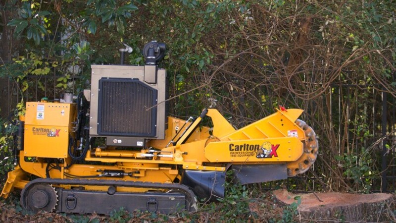Enhance curb appeal with professional stump grinding in Senoia, GA, and solutions for your lawn
