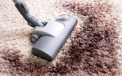 Easy Steps to Maintain Carpets After Carpet Cleaning Tampa FL Services