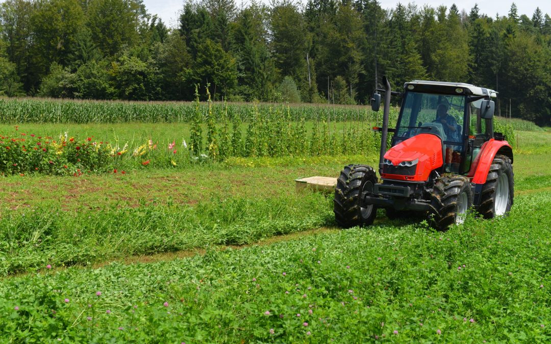 Maximize Your Investment With New Holland Skid Steer Loaders Austin TX Insights