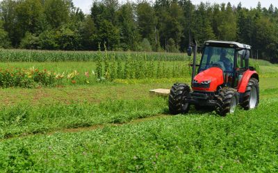 Maximize Your Investment With New Holland Skid Steer Loaders Austin TX Insights