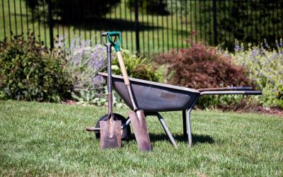 Simple ways to boost curb appeal through lawn landscaping Fort Mill SC solutions
