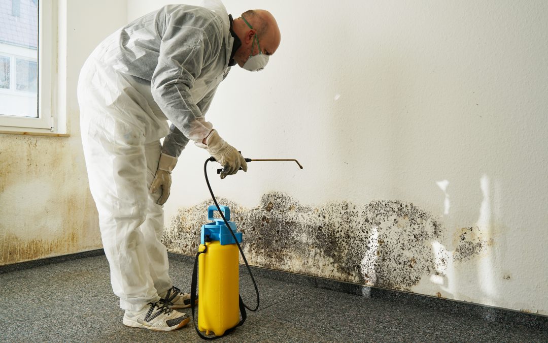 Steps Homeowners Should Take Before Water Damage Restoration Menifee CA Experts Arrive