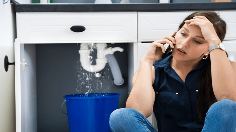 Fix Water Damage Fast With Trusted Plumbing Leak Repair In Denver, CO Homeowners Rely On