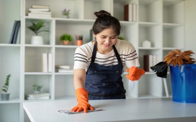 House Cleaning Portland ME Delivers a Fresher Home for Families and Professionals