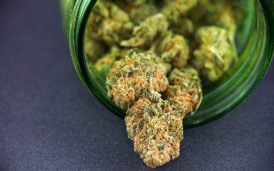 Experience Relaxation with Infused THCA Pre Rolls and Unlock New Ways to Unwind After Stressful Days