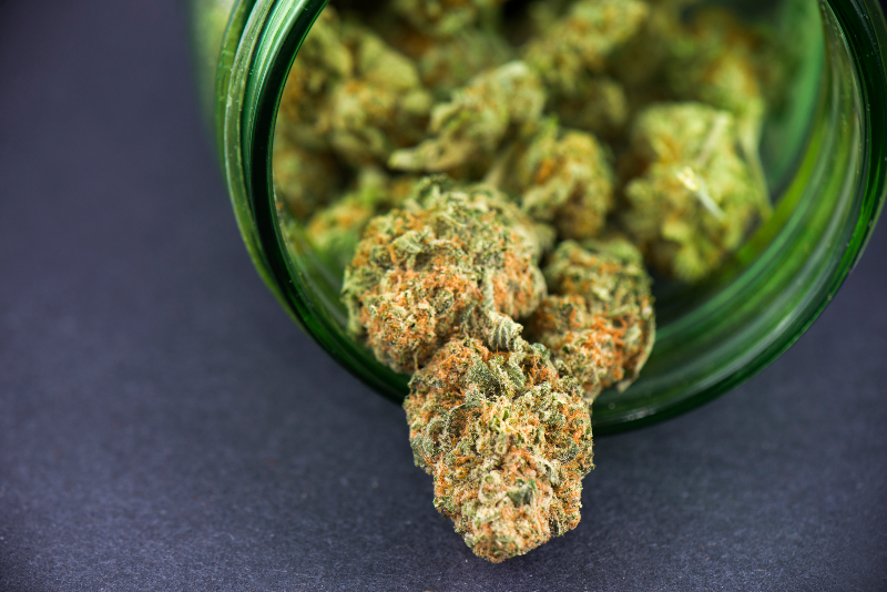 Experience Relaxation with Infused THCA Pre Rolls and Unlock New Ways to Unwind After Stressful Days
