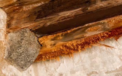 Minimize Stress After Floods with Expert Emergency Water Damage Cleanup in Westmont, IL